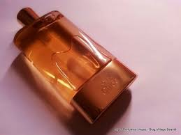 Top 7 Perfumes Com Cheiro Limpo Clean E Boa Fixacao Love Chloe Eau De Parfum Perfume Perfumes Importados Fixacao