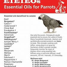 Essential Oils For Parrots Essential Oils Grapefruit Essential Oil Oils