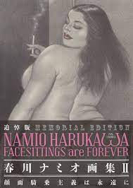 MEMORIAL EDITION NAMIO HARUKAWA FACESITTINGS are FOREVER: Memorial Edition  New 9784309922218 | eBay