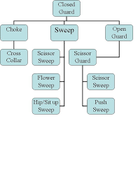 Bjj Gameplan My Path From Blue To Purple Jiu Jitsu Noob