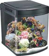 128l Marine Aquarium Nano Fish Tank With 150w Halide Cabinet Inc Boyu Hs 60 At Aquarist Classifieds Aquarium Marine Aquarium Saltwater Tank
