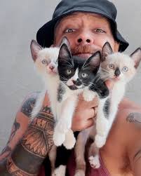 Mike Chow Banho e Tosa (@mikechow2017) · Instagram 照片和视频