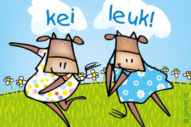 Afbeeldingsresultaat voor leuk