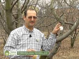 Tarim Bilgisi Elma Asilama Youtube Orme Cantalar Meyve Agaclari Cantalar