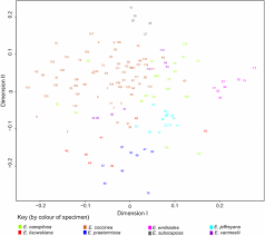 Image result for Emilia caespitosa