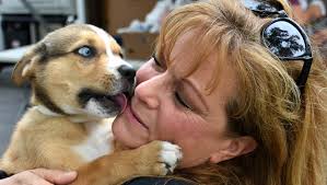 Furry friends in need: Saving Grace offers help feeding pets