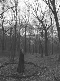 Witches Wood Witch Aesthetic Witch Witchcraft
