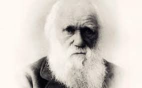 Analysis of Hugh Ross' Progressive Day-Age Creationism