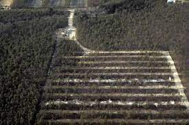 The Spray Field Stockton S First Environmental Initiative Stockton Stories Stockton University
