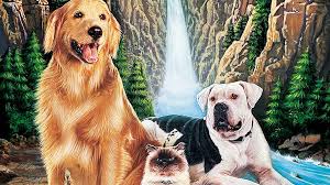 Biggles) from austin powers movies morris the cat from the 9 lives cat food commercials nameless fluffy white cat from james bond movies. Homeward Bound The Incredible Journey Review Movie Empire
