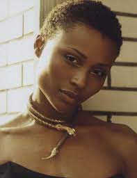 Cynthia bailey accepted a challenge launched by kenya moore called the model challenge. 900 Natural Hair Ideas Natural Hair Styles Hair Hair Styles
