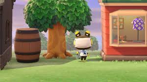 We did not find results for: Frog Villagers May Not Be That Popular But I Love My Raddle Animalcrossing