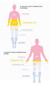 Image result for Body Composition Changes with Aging