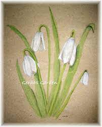 Snowdrop Watercolor Print 5x7 January Birth Flower 15 00 Handmade Art Crafts And Unique Gifts B January Birth Flowers Birth Flowers Birth Flower Tattoos