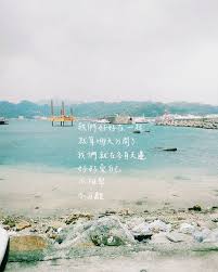 instagram 上的歲月靜好 8 7 轉錄自 晚安詩舉世盛讚那場差距懸殊的愛情無人知曉平凡的愛才曠日持久誰也不必壯烈犧牲誰也不曾散魄飛魂我們相愛不驚動任何一隻喜鵲不牽動哪一頭老牛我們好好在一起就算哪天分開了我們就在各自天邊