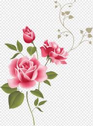 Pastel beautiful pink flowers images. Pink Roses Art Vintage Roses Beautiful Varieties For Home And Garden Pastel Real Flower Watercolor Painting Flower Arranging Branch Png Pngwing
