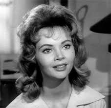 Television's New Frontier: The 1960s: July 2020