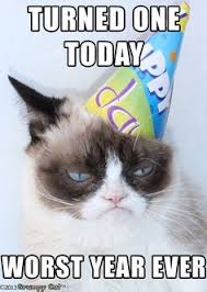 Make your own images with our meme generator or animated gif maker. 44 Grumpy Cat Memes Ideas Grumpy Cat Cat Memes Grumpy