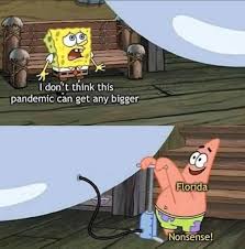 We did not find results for: Spongebob Memes Explore Tumblr Posts And Blogs Tumgir
