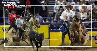 Carol - 🏆🏆🏆🙌LOGAN BIRD'S 'PESO' SHINES AT HIS FOURTH NFR WITH ...