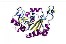 Al diminuire della concentrazione, (grado di dissociazione) aumenta in maniera tale da mantenere costante il valore del rapporto espresso da ka. Chimica Archivi Pagina 160 Di 240 Chimicamo Org