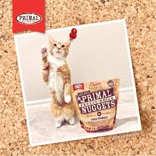 paw five if you love primal freeze dried nuggets as much as we do primal frozen freeze drying