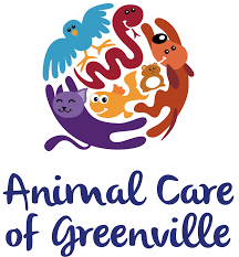 Responsibilities expected of participating students: Veterinarian In Greenville Nc Animal Care Of Greenville