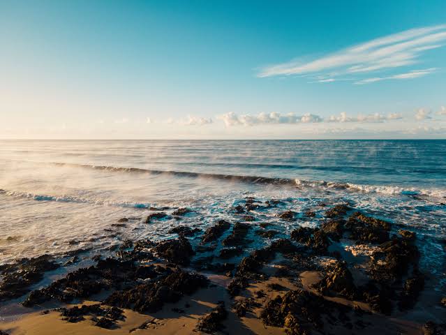 Vast Ocean at Dawn · Free Stock Photo