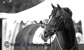 S / holst / b / 2014 / casall / contender / b: Rolf Goran Bengtsson Rgbengtsson Twitter