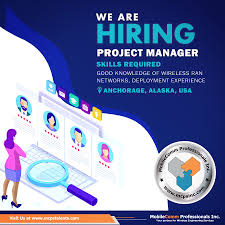 Project Manager Job Engineering Activities Business Analyst Engineering