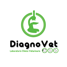 VETERINARIA DOGTOVET