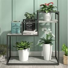 Plant stand is one of those décor elements that you can experiment with without the slightest fear of boundaries. 3 Or More Plant Stands 3 Tier Plant Tables Free Shipping Over 35 Wayfair