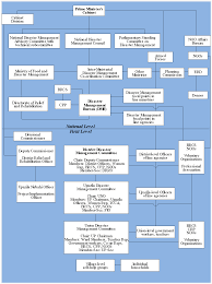 national disaster risk reduction and management council