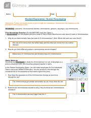 Student exploration human karyotyping answer key. Human Karyotyping Gizmo Pdf Name Date Student Exploration Human Karyotyping Directions Follow The Instructions To Go Through The Simulation Respond To Course Hero