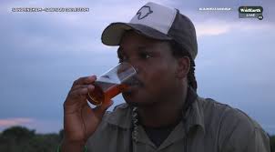 Holy Basil Rooibos Tea Recipe Review