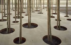 Pin By Jose Ayala On Urban Design Landscape Architecture Design Canopy Architecture Wooden Canopy