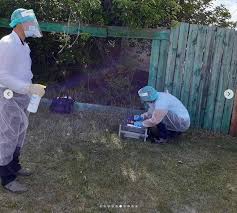 В центральной избирательной комиссии отчитались о результатах расследования сообщений о голосовании на пеньке во время кампании по одобрению изменений в конституции. 11 Bezumnyh Foto Golosovaniya Po Popravkam K Konstitucii Na Penke I V Bagazhnike Snatchnews Novostnoj Portal