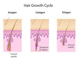Electrolysis Technology Precision Hair Removal Skin Care