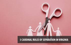 The issues to be solved in your divorce are separation of property and child custody, support, and visitation. Easy Diy Divorce Blog Do It Yourself Separation Divorce Tips