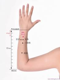 Le Point Wai Guan Du Meridien Du Trois Foyers 5tf Dietetique Chinoise Et Tuina Acupression Medecine Alternative Douleur Abdominale