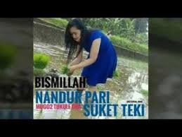 Inilah calon pelatih persib bandung pengganti jajang nurjaman1 via m.vidio.com. Paling Bagus 22 Perang Gambar Lucu Jowo Koleksi Gambar Lucu Lucu Gambar Lucu Foto Lucu