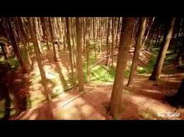Celebrate and remember the lives we have lost in carthage, missouri. Flowers Of The Forest Mike Oldfield Youtube