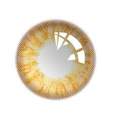 Brown Contact Lens Yc21324 Eyeball Art Overlays Picsart Edit Photo Frame