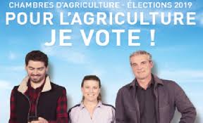 Partez à la découverte de l'urbex à travers plusieurs endroits abandonnés. Elections 2019 Des Membres De La Chambre Interdepartementale D Agriculture Nord Pas De Calais La Prefecture Et Les Services De L Etat En Region Hauts De France