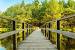 Studio Background Psd Free Download 2017 Hd Zip