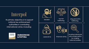 International Organizations in Poland | Dudkowiak & Putyra
