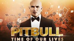 Read or print original time of our lives lyrics 2021 updated! Pitbull Time Of Our Lives Konzert
