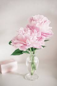 Pink peony flowers in vase. Peonies Pink Peonies Peonies Centerpiece Pretty Flowers