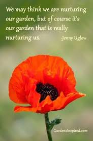 See more ideas about garden quotes, garden, garden signs. 100 Gardening Quotes Ideas Quotes Garden Quotes Garden Signs