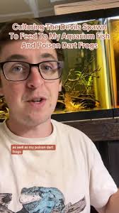 Aquarium Botanicals for Betta Fish and Blackwater Aquariums  (@bettabotanicals) · Instagram 照片和视频